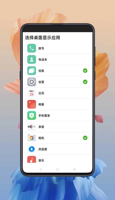 老人桌面app3