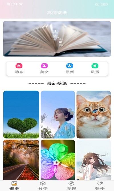 壁纸主题大全app4