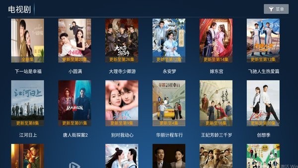 星禾tv app