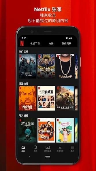 netflix premium软件4