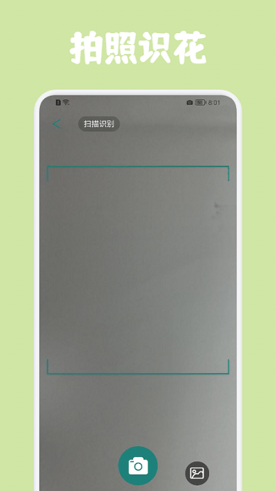 识花拍照帮app