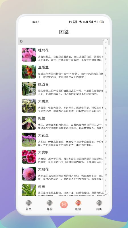 梦想鲜花APP