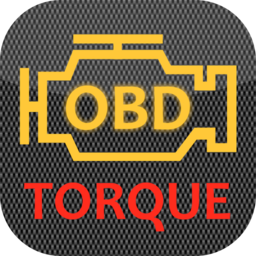 torque lite app中文版