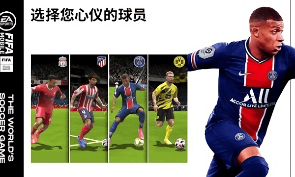 fifa足球国际服