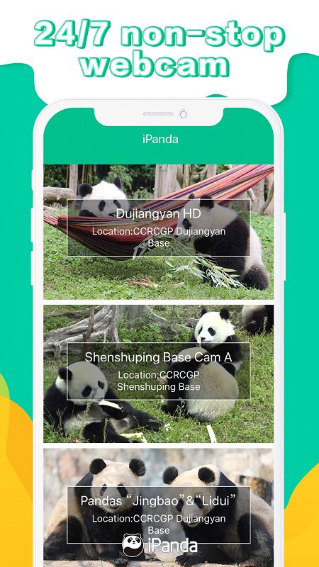ipanda熊猫频道app4