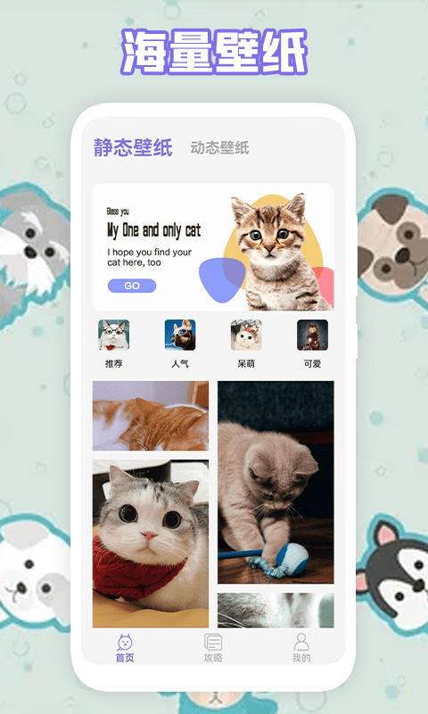 多多养猫助手app3