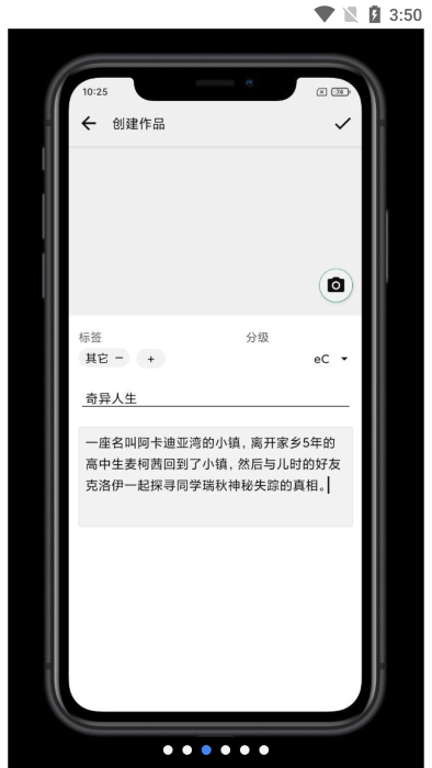 litestory软件3