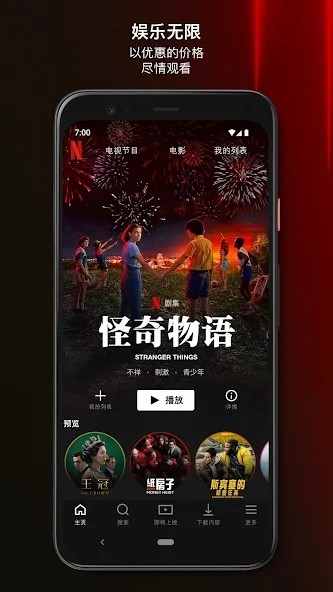 netflix premium软件4