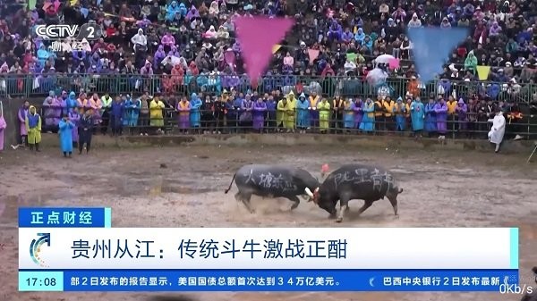 壹梦直播官方下载