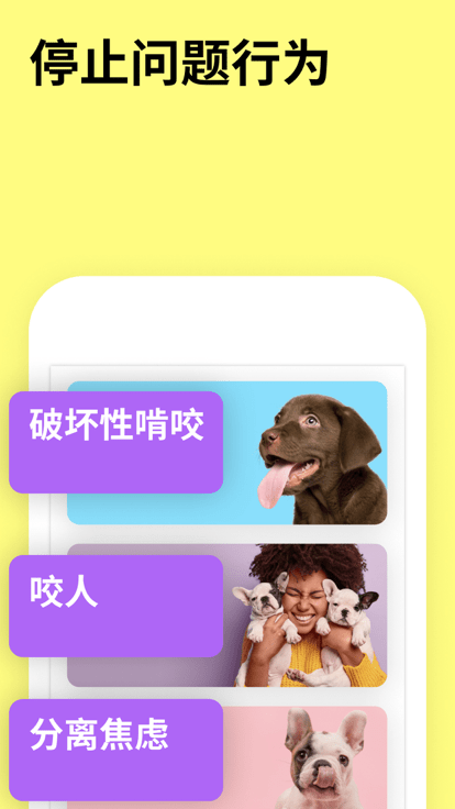 everydoggy app