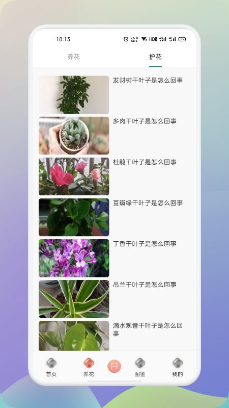 梦想鲜花APP