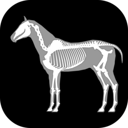 马匹解剖模拟器手机版(3D Horse Anatomy Software)